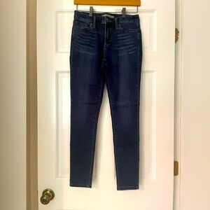 Joe's Jeans Dark Blue Skinny Women's Jeans